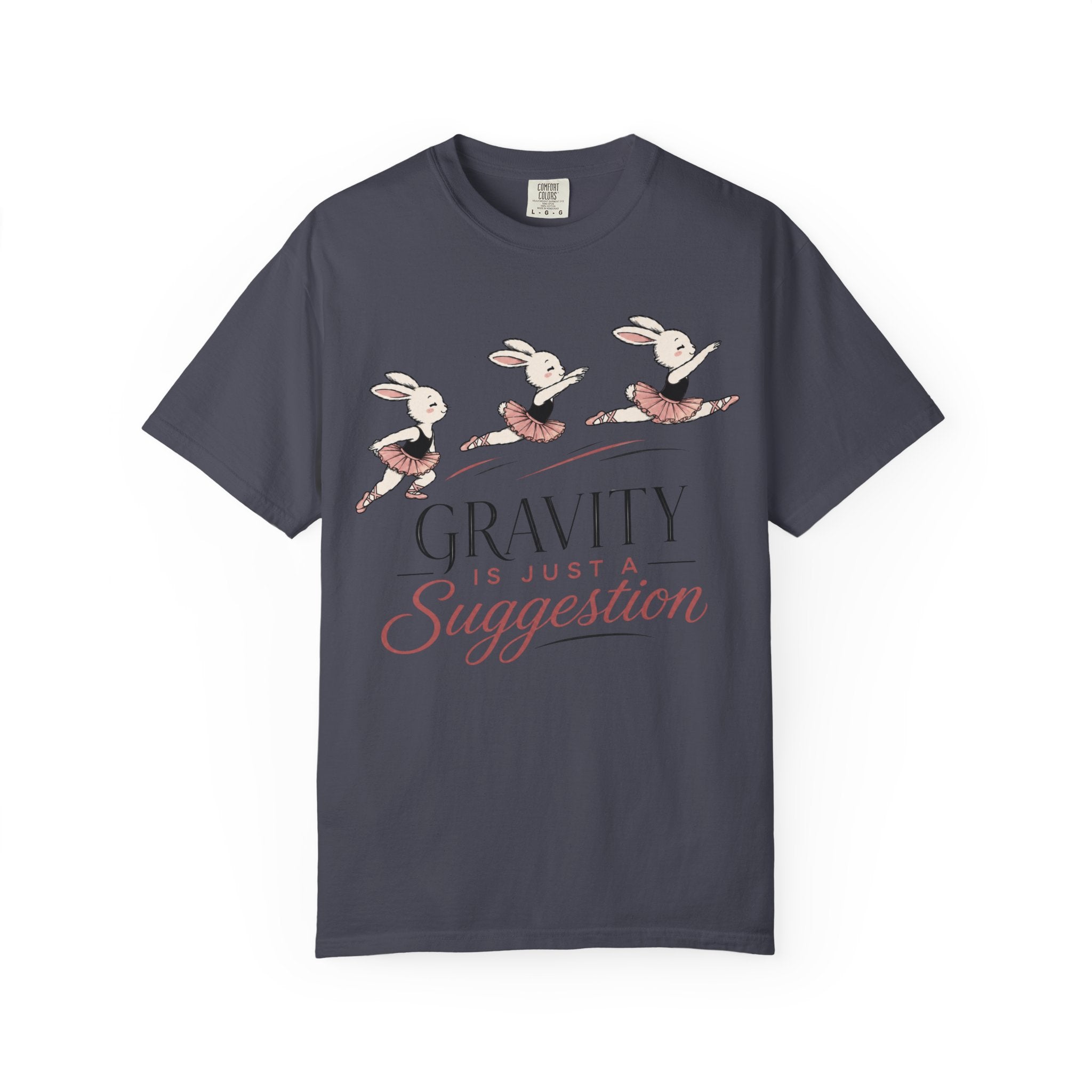 Gravity Is Just A Suggestion T-Shirt